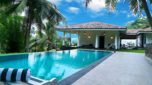 house with the pool and palm trees