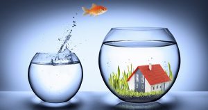 goldfish jump in fishbowl with house - real estate concept